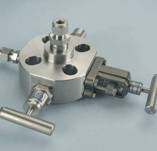 Double Block & Bleed Valve